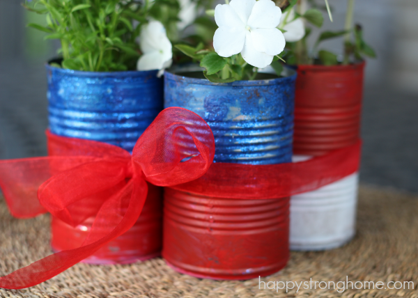 Patriotic Tin Can Planter Craft