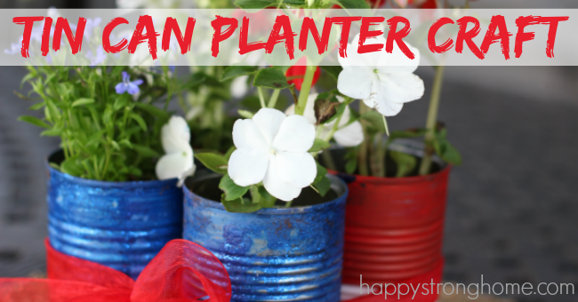 Patriotic Tin Can Planter Craft