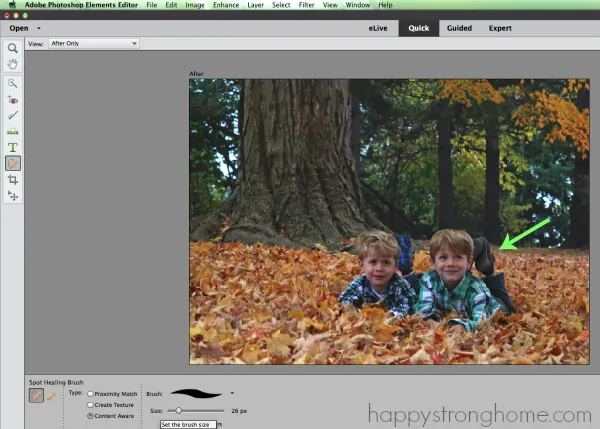 DIY Family Photography