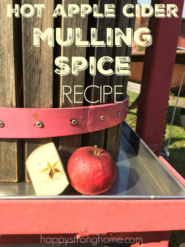 spice blend recipes for thanksgiving