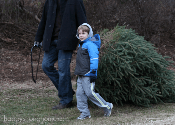 finding a fresh cut christmas tree