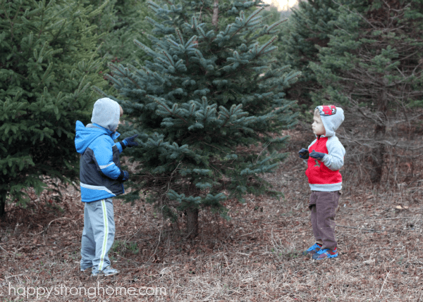 Christmas tree boys