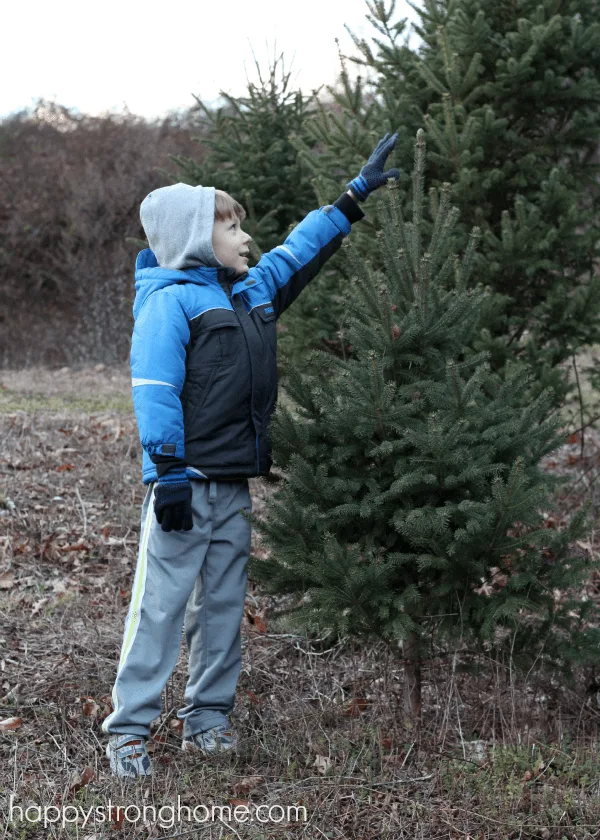 Christmas tree top