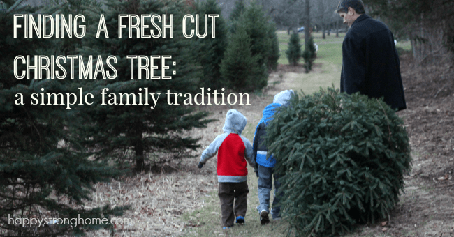 finding a fresh cut christmas tree