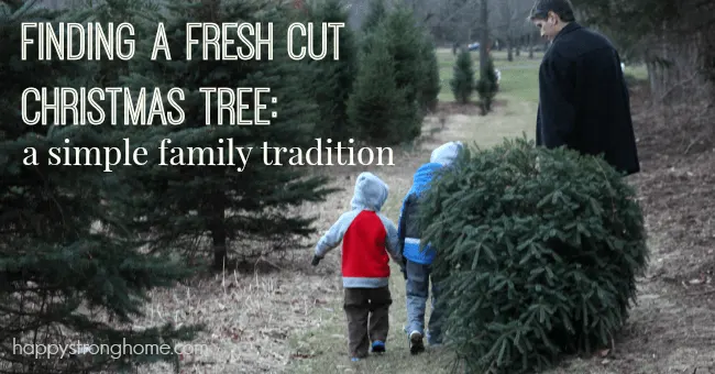 finding a fresh cut christmas tree