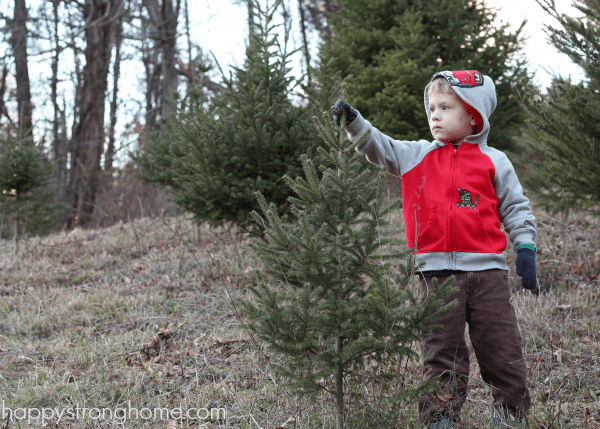 Finding a Fresh Cut Christmas Tree - our simple family tradition ...