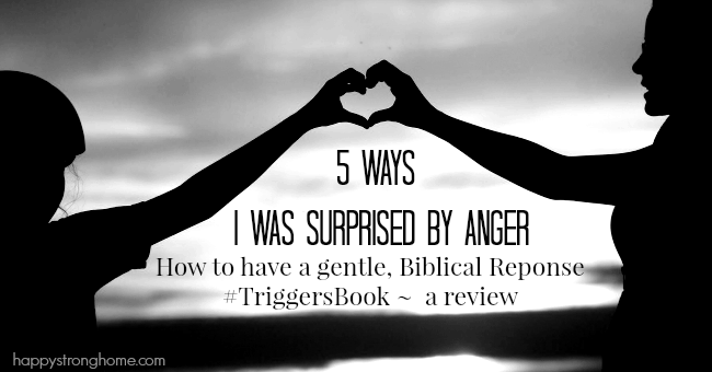 surprised by anger triggers book review