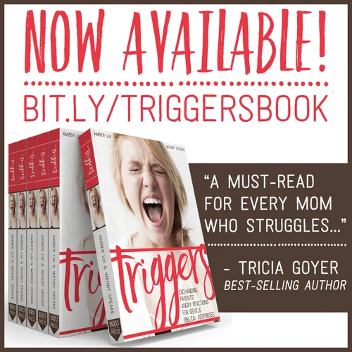 surprised by anger triggers book review