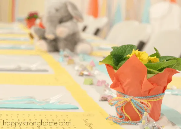 twins baby shower ideas