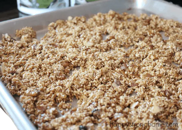 Steel Cut Oats Granola Recipe