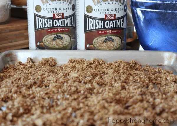 Steel Cut Oats Granola Recipe