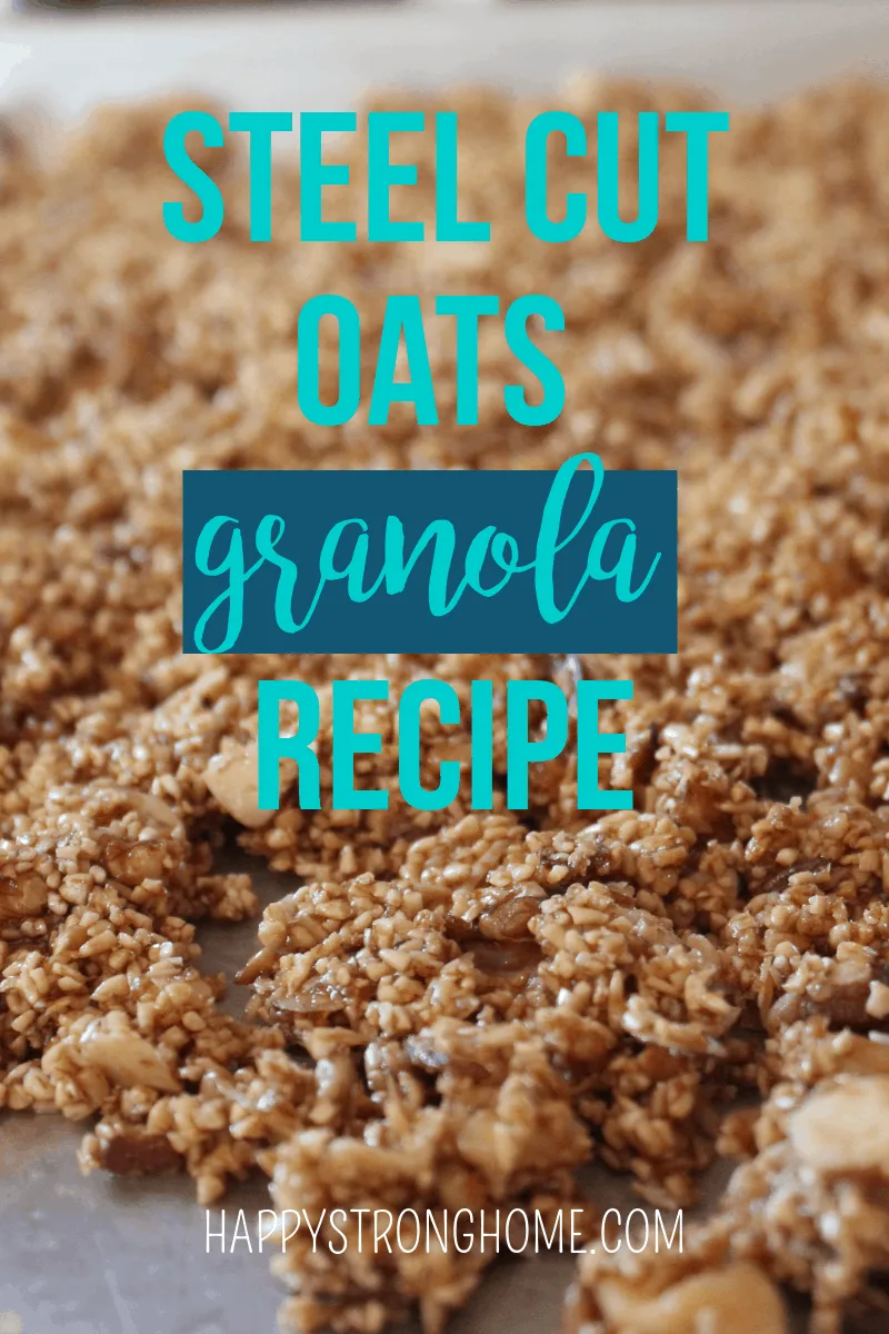 Steel Cut Oats Granola Recipe