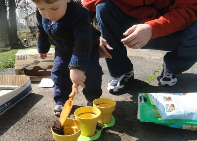 bean planting with kids