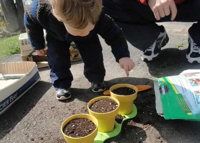 bean planting with kids