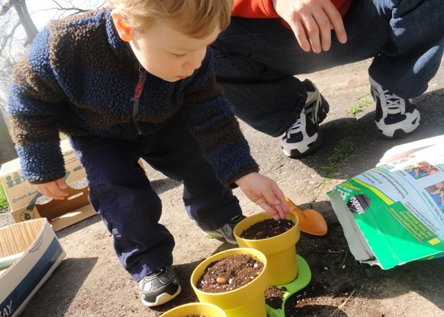 bean planting with kids