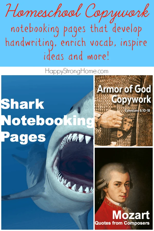 Homeschool Copywork handwriting practice pages