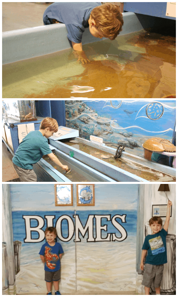 Biomes Marine Biology Center