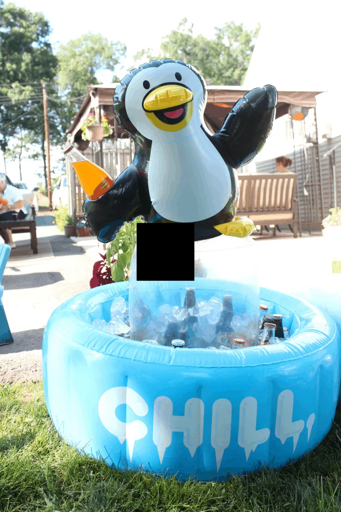 Penguin Party Ideas - Penguin Birthday 