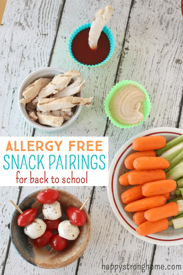 Allergy Free Snack