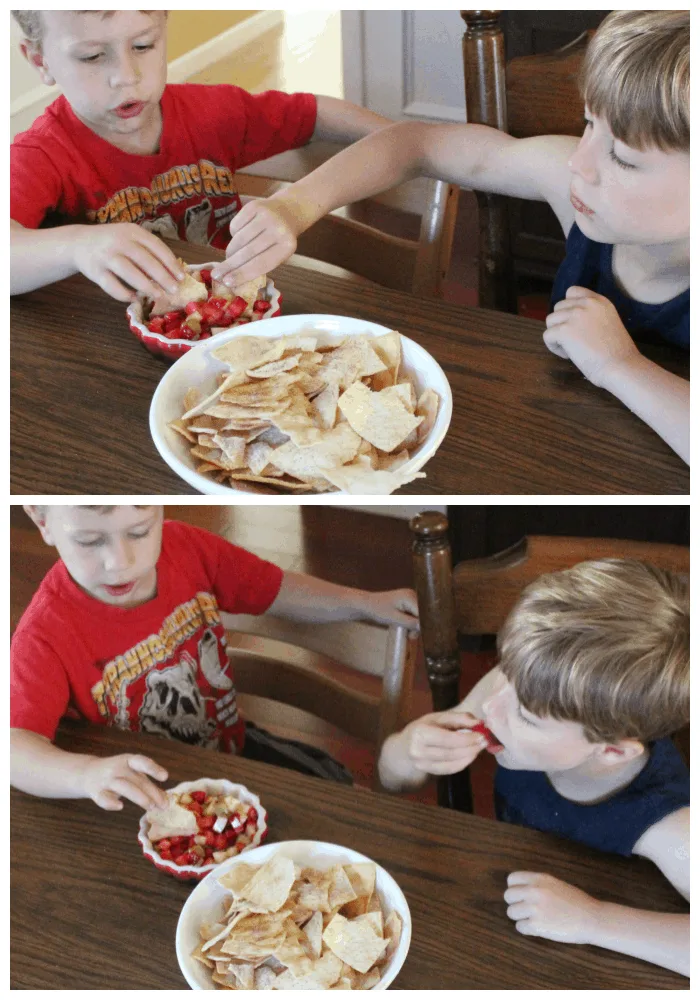 Strawberry Apple Salsa Dip Recipe