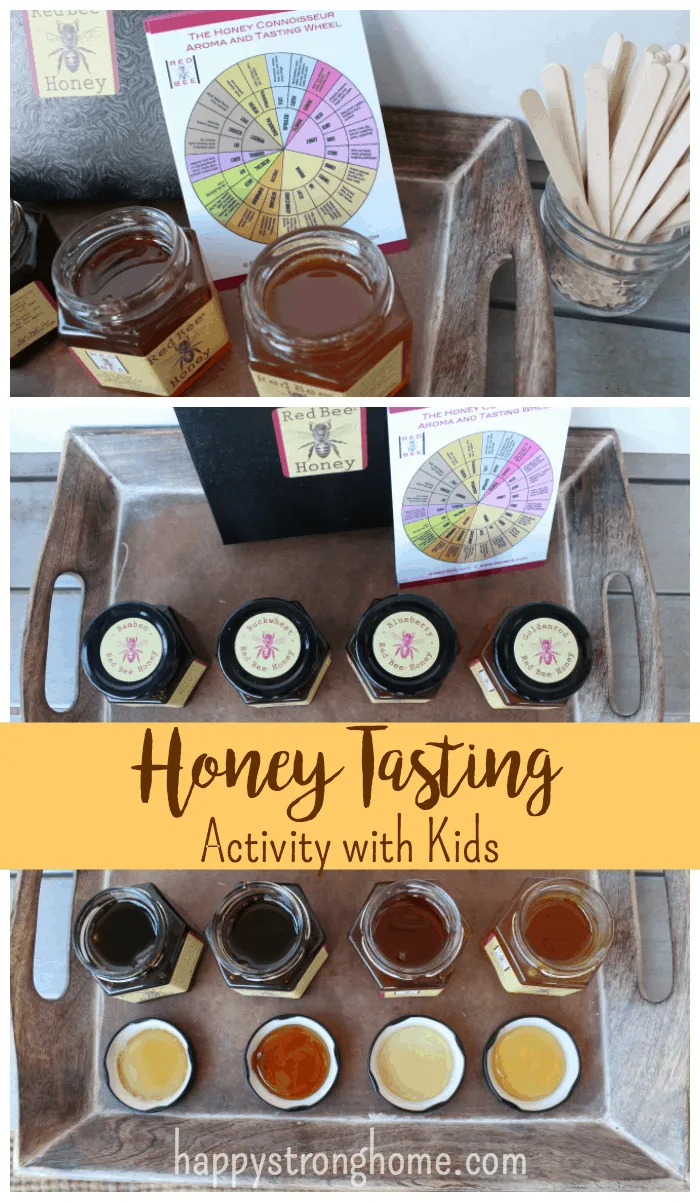 Honey Tasting Activity With Kids