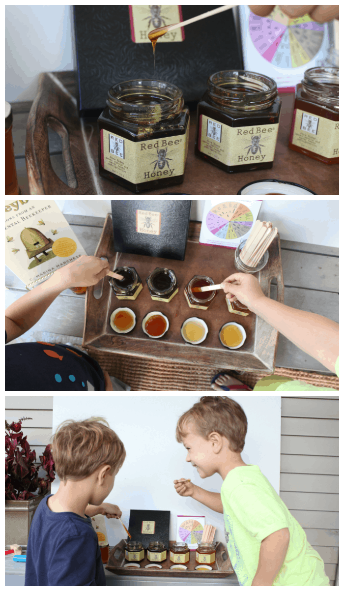 Honey Tasting Activity With Kids