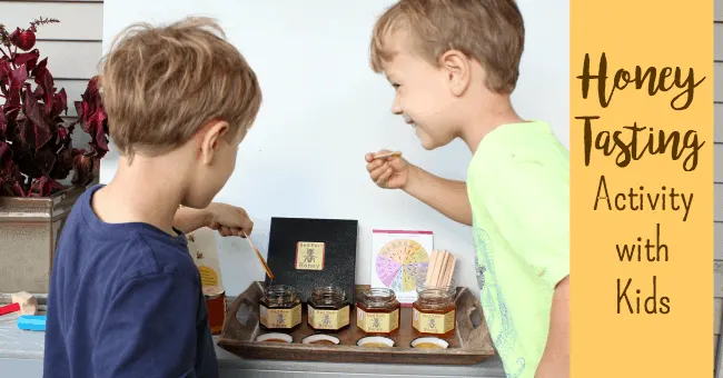 Honey Tasting Activity With Kids