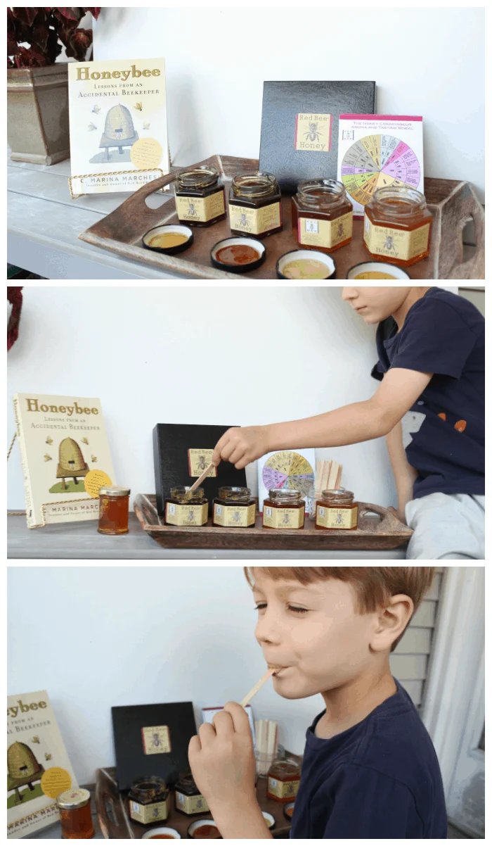 Honey Tasting Activity With Kids