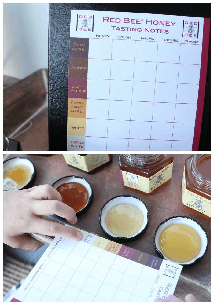 Honey Tasting Activity With Kids