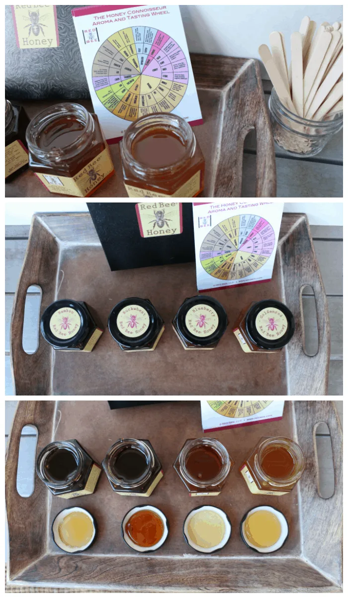 Honey Tasting Activity With Kids