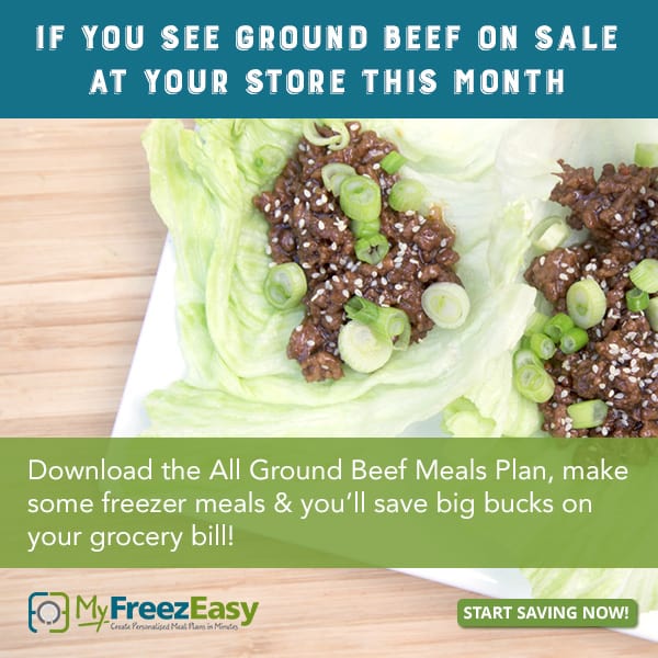 myFreezEasy freezer meal plans