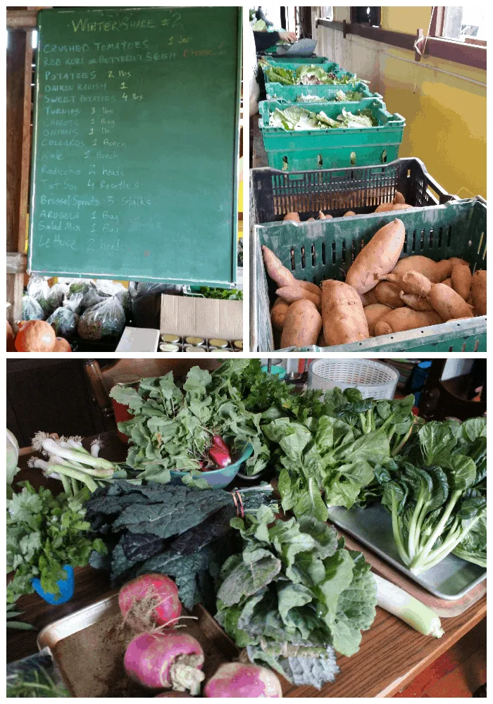 prep store winter csa