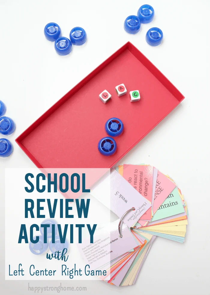 School Review Activity Game