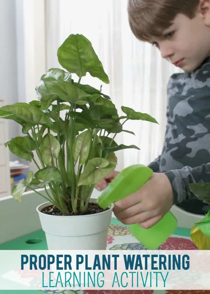 plant watering activity