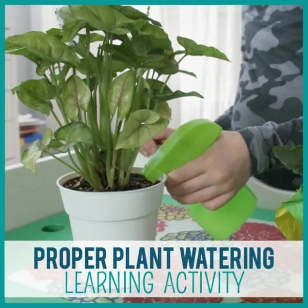 plant watering activity