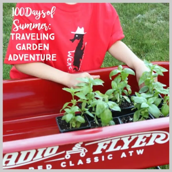 Traveling Garden Adventure