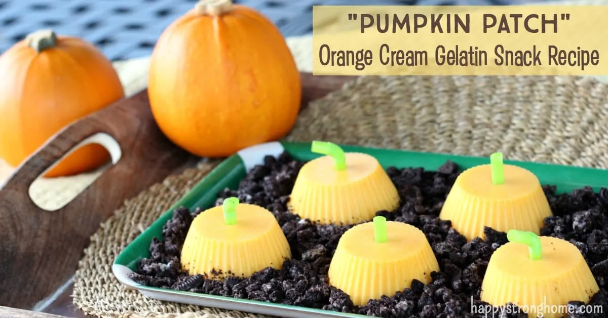 Orange Cream Gelatin Snack