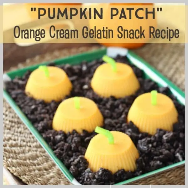 Orange Cream Gelatin Snack