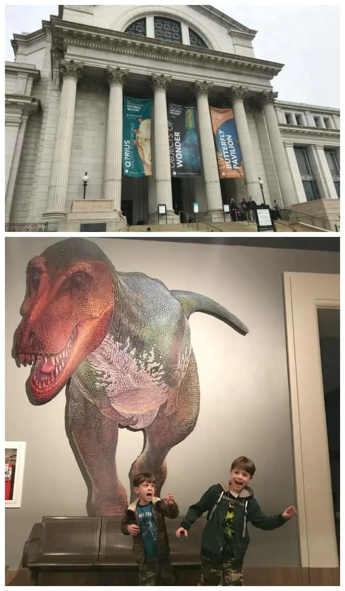 Front of museum and T. rex inside