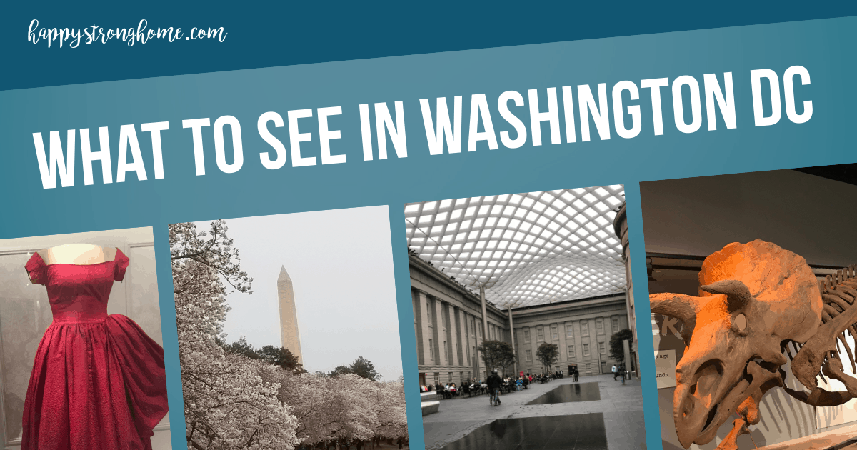 What to See in Washington DC