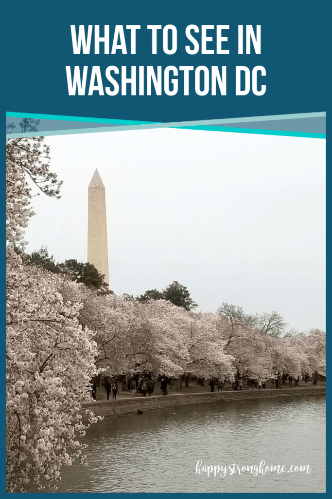 Homeschool on the Road: What to See in Washington DC - Happy Strong Home