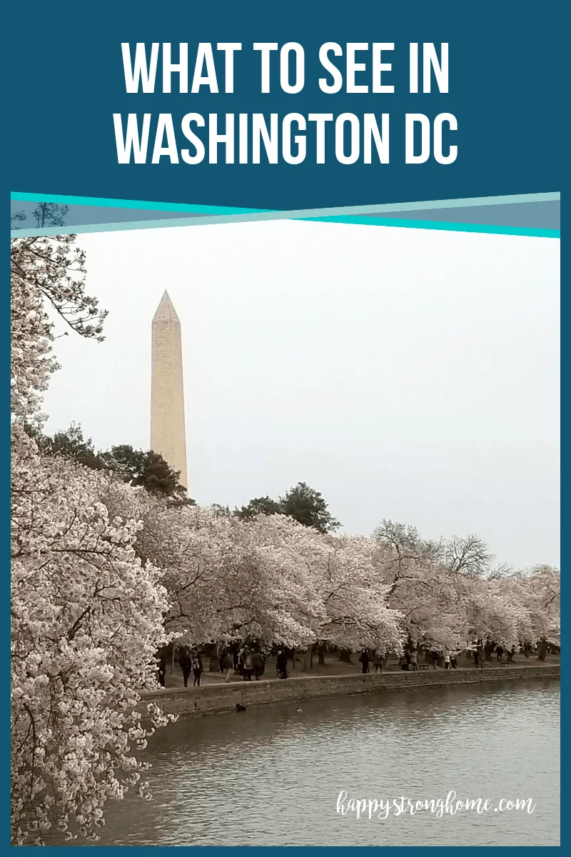 What to See in Washington DC