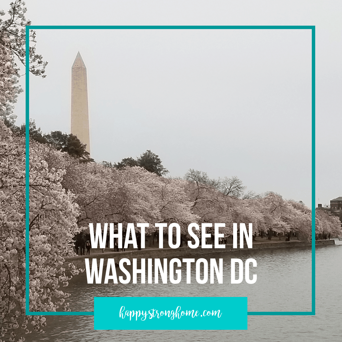 What to See in Washington DC