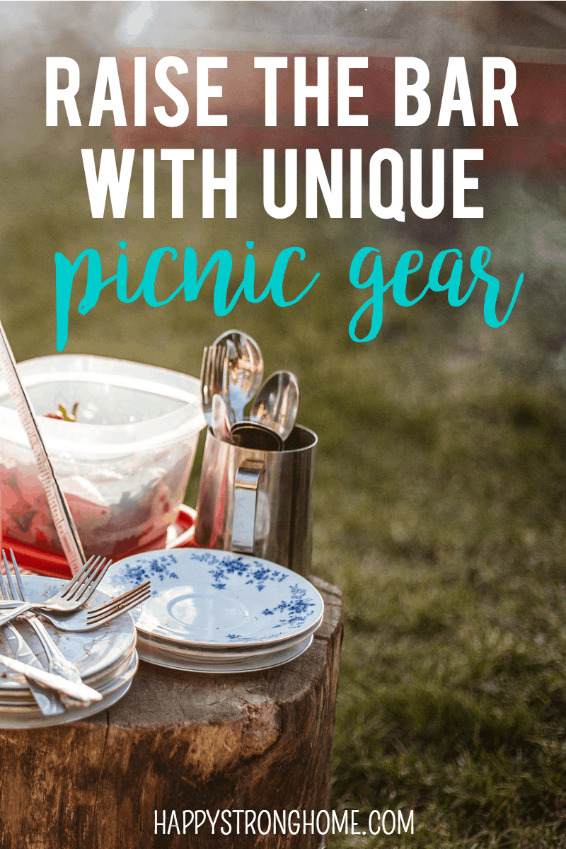 unique picnic gear