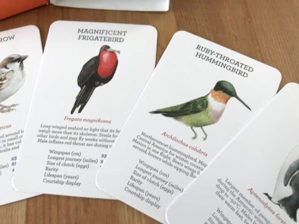 Close up of bird game cards