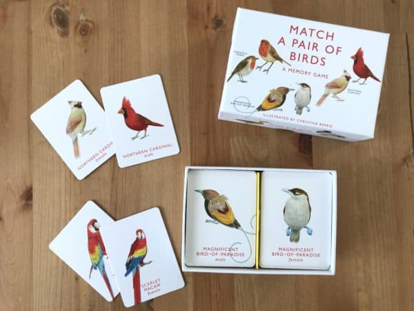 Game, Match a Pair of Birds, cards
