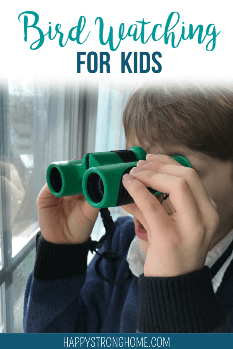 Bird Watching for Kids Resource Guide Happy Strong Home
