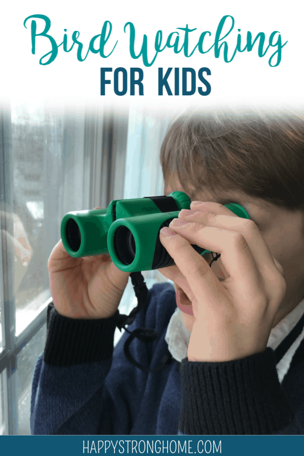 bird watching for kids