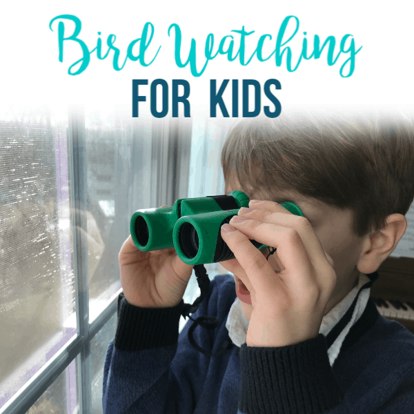 Bird watching for kids banner with child with binoculars looking out window