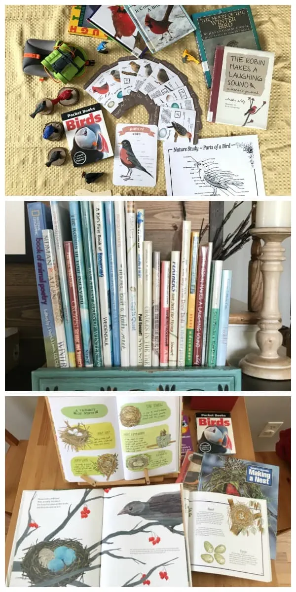 Collage for bird study unit with books and printables at top, books at center, and books on table at bottom